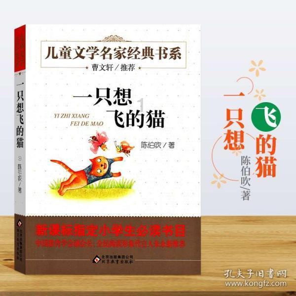 逃离沙漠小镇